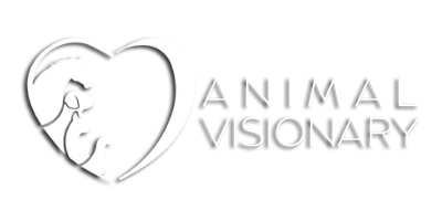 Animal Visionary Dori